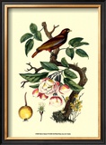 Bird in Nature IV Posters by E. Guerin