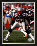 Willie McGinest - 2004-2005 Blocking Framed Photographic Print