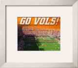 University of Tennessee-Neyland Stadium Framed Photographic Print