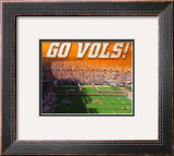 University of Tennessee-Neyland Stadium Framed Photographic Print