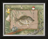 Crappie Posters by Anita Phillips
