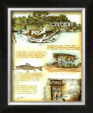 Muskies Posters by Robert Settle