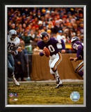 Fran Tarkenton - ©Photofile Framed Photographic Print