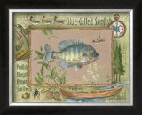 Blue-Gilled Sunfish Posters by Anita Phillips