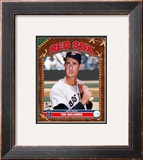 Ted Williams Framed Photographic Print