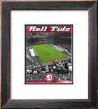 University of Alabama- Stadium Shot Framed Photographic Print