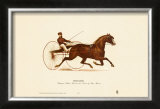 Smuggler Prints