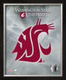 Washington State University Framed Photographic Print