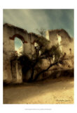 San Miguel IV Prints by Terry Lawrence