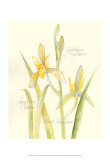 Elissa's Garden IV Print by Elissa Della-piana