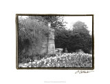 Garden Grace II Giclee Print by Laura Denardo
