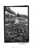 Garden Elegance VIII Affiches par Laura Denardo