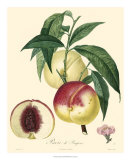 Peaches Posters by Bessa 