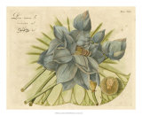Blue Lotus Flower II Posters