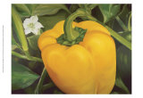 Vegetable Garden I Prints by Bethany Wilson