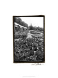Garden Elegance VIII Giclee Print by Laura Denardo