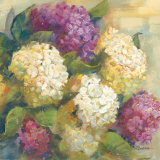 Hydrangea Delight II Prints by Carol Rowan