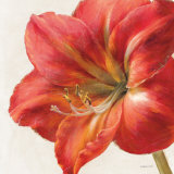 Vivid Amaryllis Affiches par Danhui Nai
