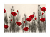 Hans Andkjaer - Red Poppies - Reprodüksiyon Hans Andkjaer - Red Poppies - Reprodüksiyon