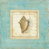 Bijou de Mar I Posters by Daphne Brissonnet