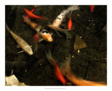 Goldfish Pond II Posters by Alicia Ludwig