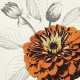 A Touch of Color I Prints by Tandi Venter