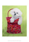 Bichon Carry-On Lámina por Carol Dillon
