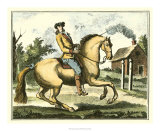 Equestrian Training I Art by Denis Diderot