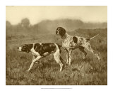 A Double Point Prints by J.M. Tracey