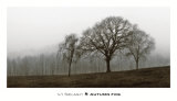 Autumn Fog Posters by Ily Szilagyi