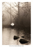 Silvered Morning Pond Posters by Heather Ross