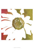 Peace Flowers IV Posters by James Burghardt