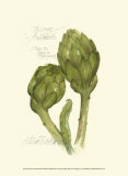 Tuscany Artichoke Posters by Elissa Della-piana