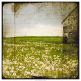 Field II Plakater af Ingrid Blixt