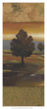Sunset Creek I Láminas por Norman Wyatt Jr.