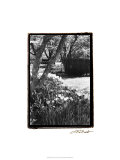 Springtime Garden IV Giclee Print by Laura Denardo