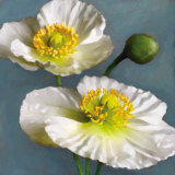 Poppy Parfait I Lámina por Janel Pahl