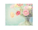 Spring Pastels Láminas por Shana Rae