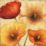 Poppy Spice III Prints by Daphne Brissonnet Poppy Spice III Prints by Daphne Brissonnet