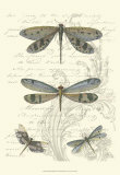 Dragonfly Delight I Posters Dragonfly Delight I Posters