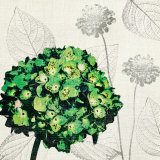 A Touch of Color IV Prints by Tandi Venter