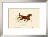 Smuggler Prints