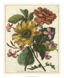 Floral Posy I Art by Giovanni Ferrari