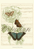 Papillon Melange II Poster