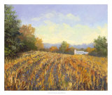 Corn Rows Prints by Mary Jean Weber