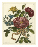 Floral Posy II Posters by Giovanni Ferrari
