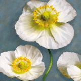 Poppy Parfait II Affiches par Janel Pahl