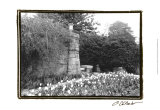 Garden Grace II Prints by Laura Denardo