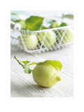Lemons Prints by Howard Shooter