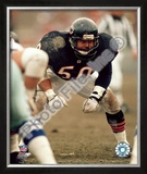 Mike Singletary Framed Photographic Print